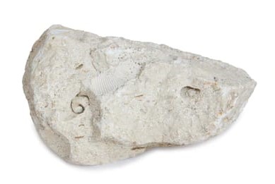 limestone-images